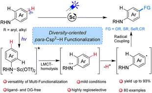 Graphical abstract: LMCT–homolysis-enabled C–H functionalization of arylamines