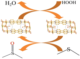 Graphical abstract: Synthesis of a highly stable Mo–Fe bimetallic metal–organic framework and its catalytic activity for the selective oxidation of sulfides under mild conditions