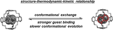 Graphical abstract: Kinetic–thermodynamic correlation of conformational changes in ammonium complexes of a flexible naphthocage