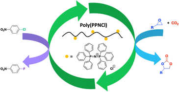 Graphical abstract: Polymeric bis(triphenylphosphine)iminium chloride as a recyclable catalyst