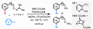 Graphical abstract: meta-C–H functionalization of phenylethyl and benzylic alcohol derivatives via Pd/NBE relay catalysis