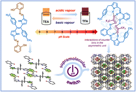 Graphical abstract: pH-responsive supramolecular switch of a rationally designed dipyrroethene-based chromophore