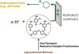 Graphical abstract: Electrocatalytic conversion of biomass-derived oxygenated aromatics to cycloalkanes