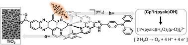 Graphical abstract: Copper(i) bis(diimine) sensitized titania nanotube array photoelectrodes for photoelectrochemical water oxidation