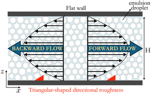 Graphical abstract: Emulsions in microfluidic channels with asymmetric boundary conditions and directional surface roughness: stress and rheology