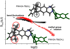 Graphical abstract: Microscopic molecular mobility of high-performance polymers of intrinsic microporosity revealed by neutron scattering – bend fluctuations and signature of methyl group rotation