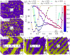 Graphical abstract: Phase behavior of polymer dispersed liquid crystals, comparison between mean-field theory, and coarse-grained molecular dynamics simulations