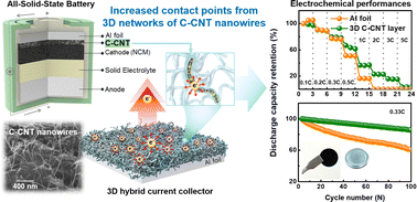 Graphical abstract: 3D current collector based on cellulose-carbon nanotube nanocomposites for all-solid-state batteries