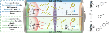 Graphical abstract: Fluorinated imine modulating efficient sulfur redox kinetics and a stable solid electrolyte interphase in lithium–sulfur batteries