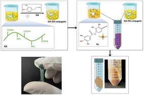 Graphical abstract: DOTAGEL: a hydrogen and amide bonded, gelatin based, tunable, antibacterial, and high strength adhesive synthesized in an unoxidized environment