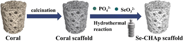 Graphical abstract: Study on porous coral scaffolds containing a hydroxyapatite layer doped with selenium and their properties