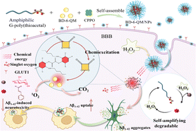 Graphical abstract: An in situ-activated and chemi-excited photooxygenation system based on G-poly(thioacetal) for Aβ1–42 aggregates