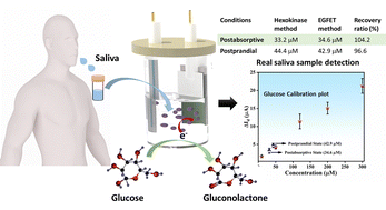 Graphical abstract: A step towards non-invasive diagnosis of diabetes mellitus using in situ synthesized MOF–MXene hybrid material with extended gate field-effect transistor integration