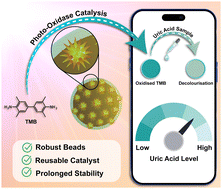 Graphical abstract: In situ fabricated gold nanostars on hydrogel beads as photo-oxidase mimics for rapid and sustainable POCT of uric acid