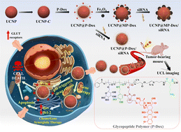 Graphical abstract: Multifunctional theranostic glyconanoprobes for synergistic eradication of breast cancer