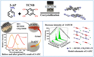 Graphical abstract: Luminescent switching behavior achieved by adjusting cocrystal charge transfer excitons under acid stimulation