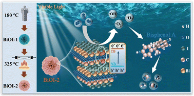 Graphical abstract: Synergistic modulation of BiOI by atomic-level vacancies and dominant facets for efficient photocatalytic degradation of bisphenol A