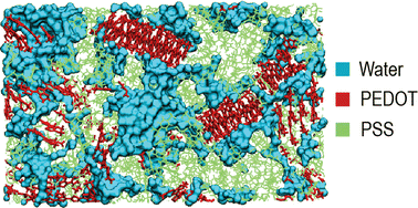 Graphical abstract: Structural properties of conductive polymer blends interfaced with water: computational insights from PEDOT:PSS