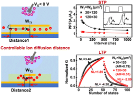 Graphical abstract: Plasticity tunable artificial synapses based on organic electrochemical transistors with aqueous electrolytes