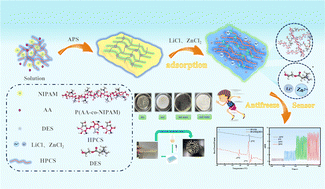 Graphical abstract: Design and wearable sensing study of a temperature-sensitive anti-freezing biomass conductive gel based on IPANH@DES