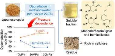 Graphical abstract: Effect of process parameters on woody biomass fractionation in a methanol/water mixture in a semi-flow reactor