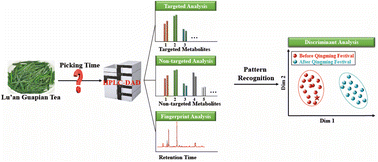 Graphical abstract: Classification of Lu'an Gua Pian tea before and after Qingming Festival using HPLC-DAD analysis: a comparison of different data analysis strategies