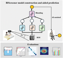 Graphical abstract: BIScreener: enhancing breast cancer ultrasound diagnosis through integrated deep learning with interpretability