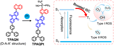 Graphical abstract: An AIE-active platinum complex for enhanced photodynamic therapy