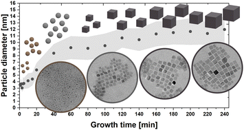 Graphical abstract: Concentration- and temperature-dependent variation of Co3O4 nanoparticle size and morphology: insights into the growth behaviour and scalability