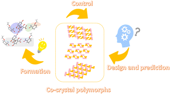 Graphical abstract: Recent developments on co-crystal polymorphs: from formation to prediction