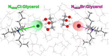 Graphical abstract: Unveiling molecular interactions in glycerol-based deep eutectic solvents