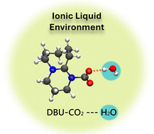 Graphical abstract: Is the DBU–CO2 adduct stable in ionic liquid media?