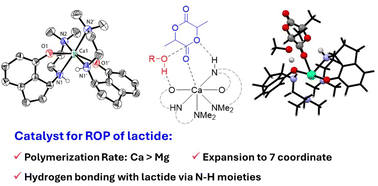 Graphical abstract: Homoleptic magnesium and calcium complexes supported by constrained reduced Schiff base ligand for lactide polymerisation: DFT analysis of lactide/ligand interactions