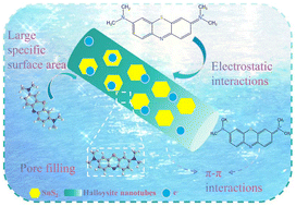 Graphical abstract: Ethylenediaminetetraacetic acid-modified halloysite nanotubes loaded with layered SnS2 for highly efficient removal of methylene blue