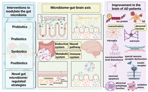 Graphical abstract: The intricate microbial–gut–brain axis in Alzheimer's disease: a review of microbiota-targeted strategies