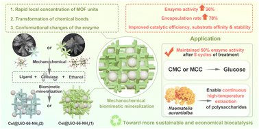 Graphical abstract: Mechanochemical biomimetic mineralization of UiO-66-NH2-immobilized cellulase for enhanced catalytic stability and efficiency