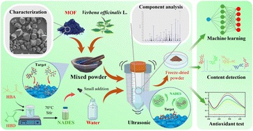 Graphical abstract: Enhancing Verbena officinalis L. antioxidant yield through natural deep eutectic solvents and MOF synergetic application