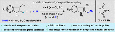 Graphical abstract: Metal-free C(sp3)–H bond functionalization via oxidative cross-dehydrogenative coupling