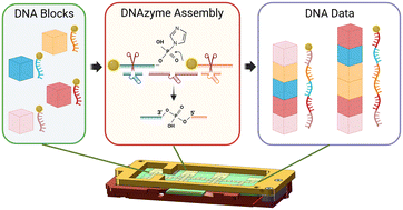 Graphical abstract: Low-cost and automated magnetic bead-based DNA data writing via digital microfluidics