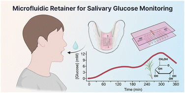 Graphical abstract: Capillary-driven, superhydrophilic microfluidic retainer for continuous salivary glucose monitoring