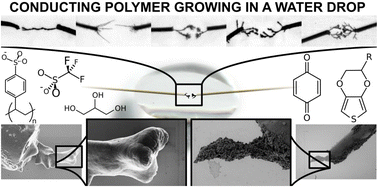 Graphical abstract: Chemical control for the morphogenesis of conducting polymer dendrites in water