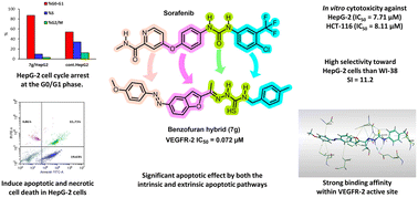 Graphical abstract: Design and synthesis of sorafenib-inspired benzofuran hybrids as VEGFR-2 inhibitors: antiproliferative evaluation, mechanistic insights, and docking studies in hepatocellular carcinoma