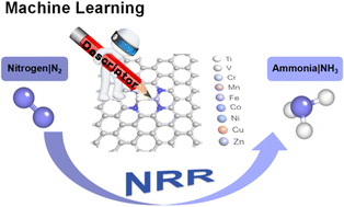 Graphical abstract: Computational screening of M2N4-C-type dual-atom-catalysts for electrochemical ammonia synthesis by the first-principles DFT and machine learning