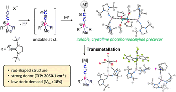 Graphical abstract: Accessing phosphonioacetylide chemistry: isolable alkali metal precursors for rod-shaped carbon donor complexes