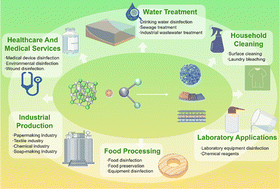 Graphical abstract: Recent progress in electrochemical synthesis of hypochlorite and its future outlook