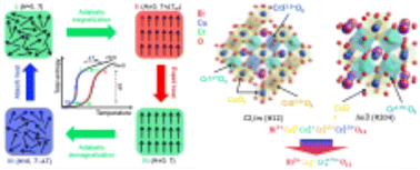 Graphical abstract: Insights into the giant magnetocaloric effect in BiCu3Cr4O12 with charge–spin–lattice coupling