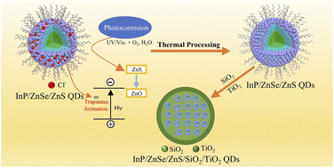 Graphical abstract: Halide removal and SiO2@TiO2 composite passivation: enhancing InP QD photooxidation stability for WLEDs