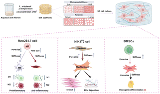 Graphical abstract: Controllable fabrication of silk fibroin porous scaffolds and their regulation on cellular behaviours