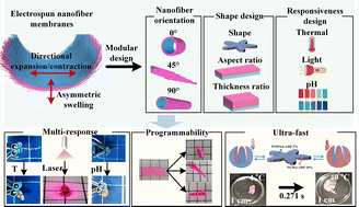 Graphical abstract: Ultra-fast and multi-responsive anisotropic nanofibrous actuator with remote control