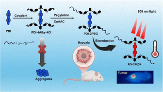 Graphical abstract: Molecular engineering based on four-arm perylene diimide chromophores toward hypoxia-induced specific photothermal therapy